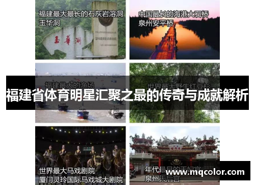 福建省体育明星汇聚之最的传奇与成就解析
